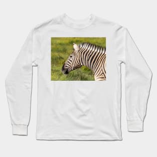 Zebra. Long Sleeve T-Shirt